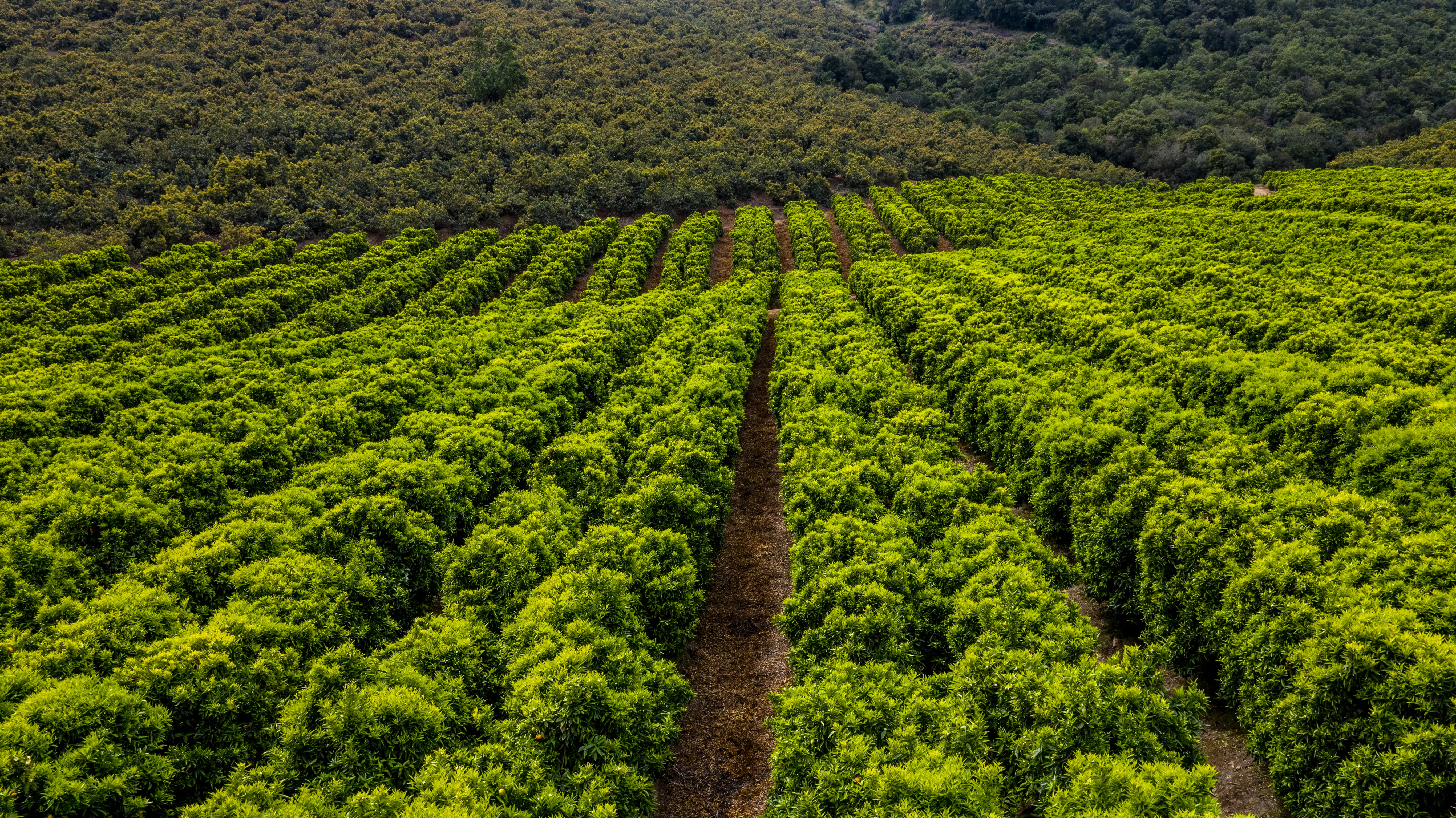 Desarrollo de proyecto